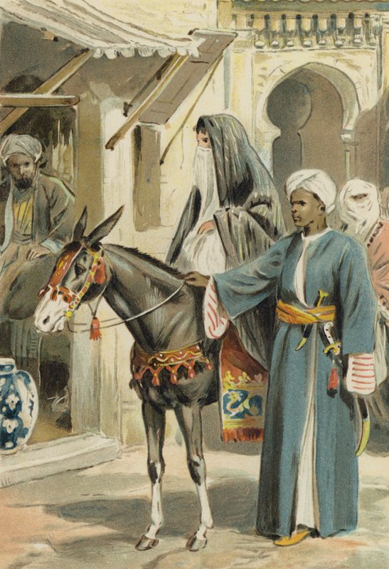 अरेबियन नाइट्स: द हिस्ट्री ऑफ़ अबुलहसन और शेम्सलीनिहार द्वारा अल्फ्रेड डब्ल्यू कूपर
