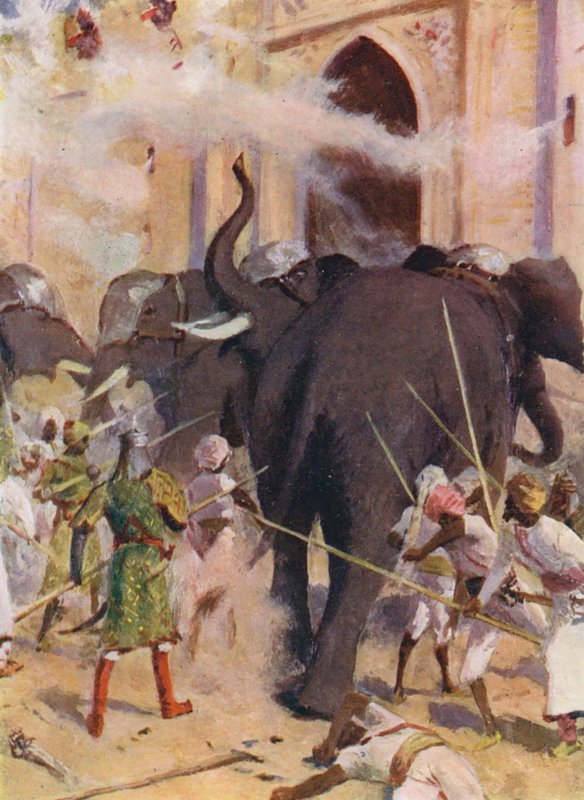  द्वारा एलन स्टीवर्ट