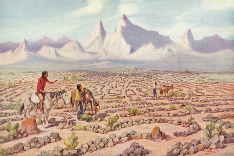 सुइयों, कैलिफोर्निया (रंगीन फोटो) के पास मोजेव भारतीयों के रहस्यवादी भूलभुलैया द्वारा अमेरिकी फोटोग्राफर