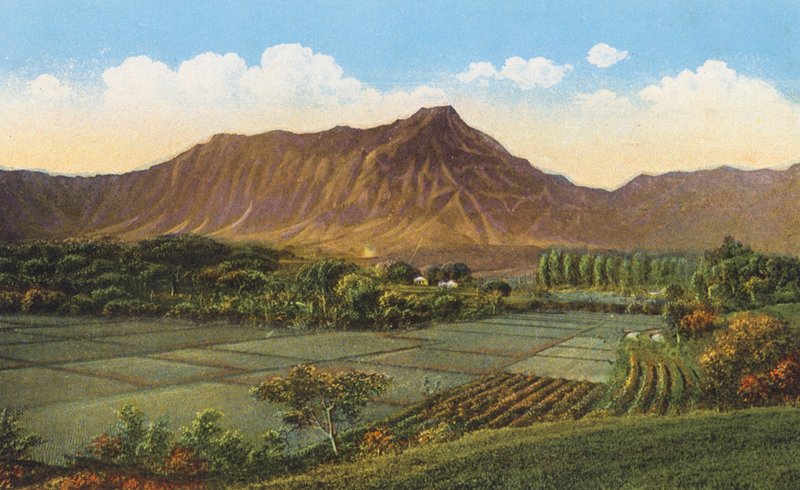  द्वारा अमेरिकी फोटोग्राफर