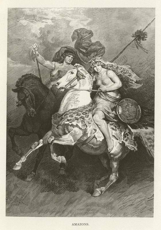 Amazons द्वारा अमेरिकी स्कूल