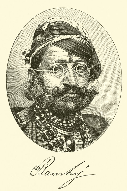 महाराजा द्वारा अमेरिकी स्कूल