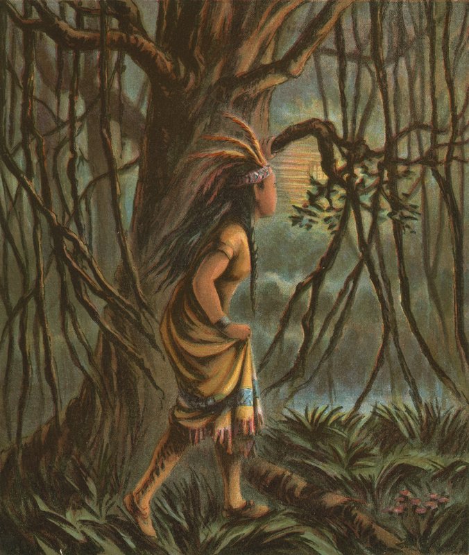 Pocahontas द्वारा अमेरिकी स्कूल