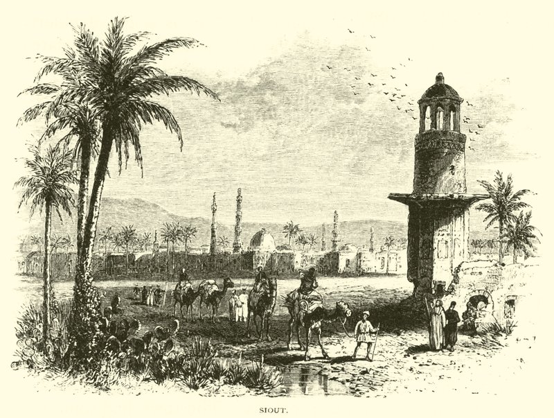 siout द्वारा अमेरिकी स्कूल