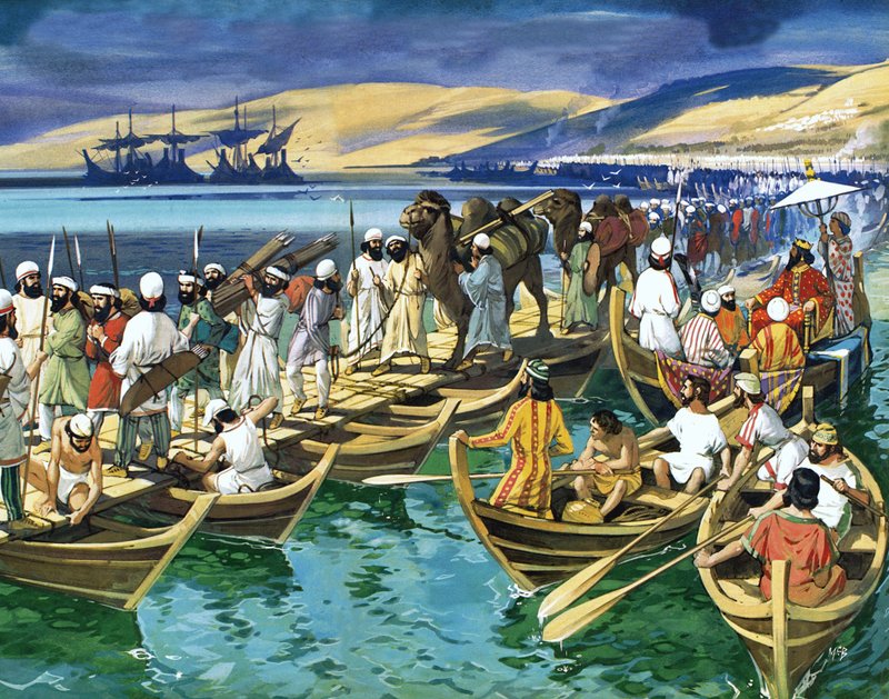  द्वारा एंगस मैकब्राइड