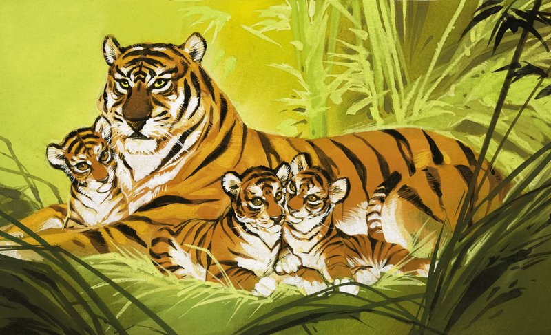  द्वारा एंगस मैकब्राइड
