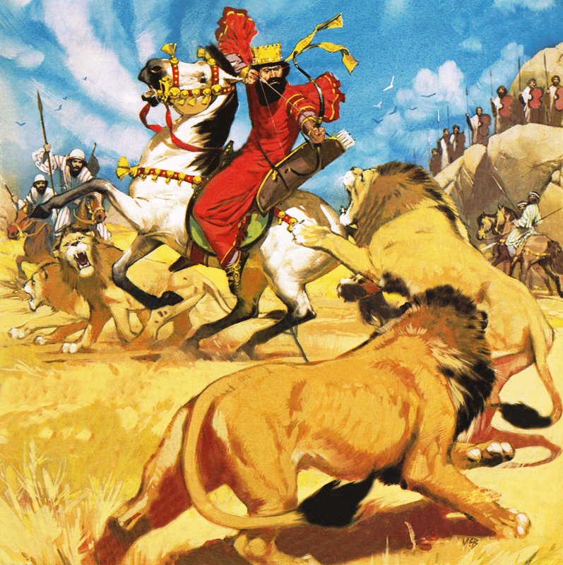  द्वारा एंगस मैकब्राइड