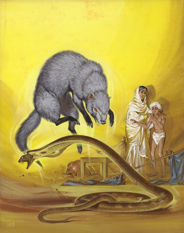  द्वारा एंगस मैकब्राइड