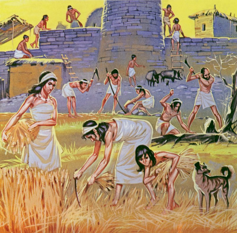  द्वारा एंगस मैकब्राइड