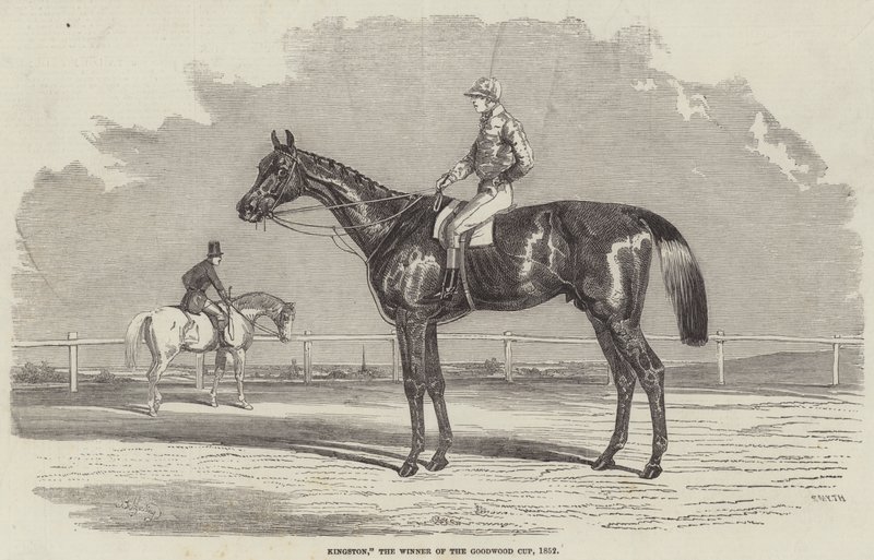 किंग्स्टन, गुडवुड कप के विजेता, 1852 द्वारा बेंजामिन हेरिंग