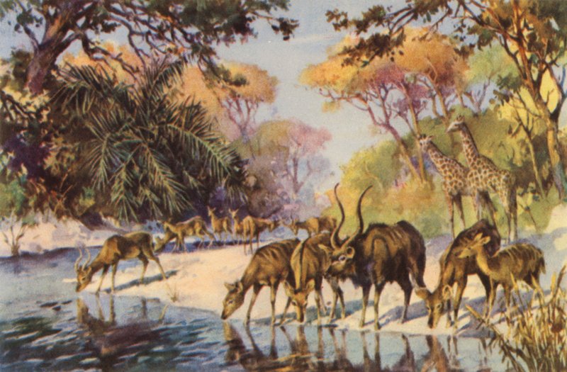  द्वारा चार्ल्स अर्नेस्ट पीयर्स