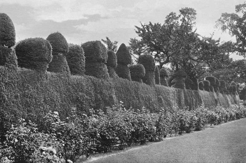 फुलफोर्ड हॉल: सनकी Topiary काम द्वारा चार्ल्स लैथम