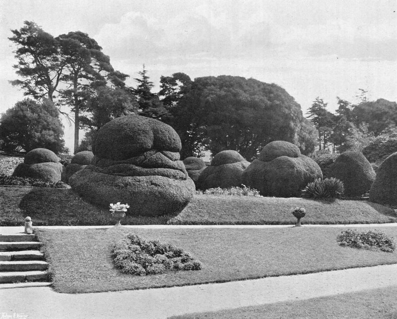 Yews का स्नातक द्वारा चार्ल्स लैथम