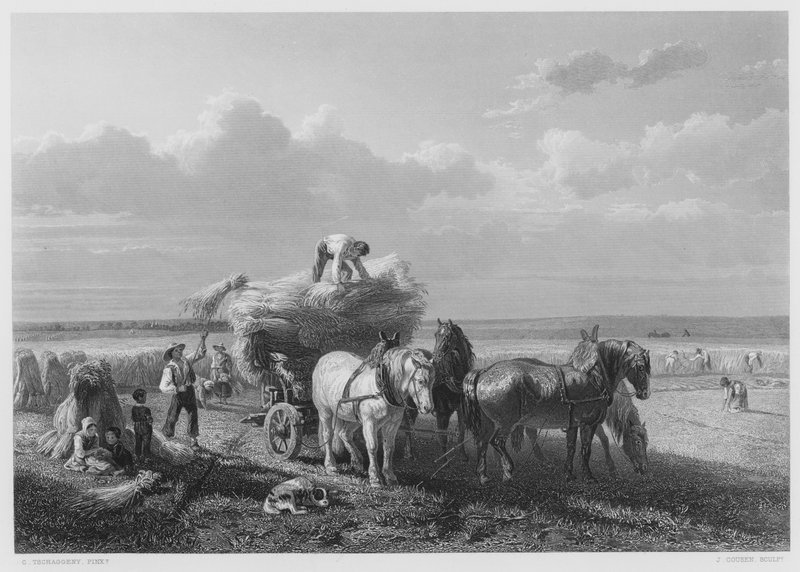 हार्वेस्ट-फील्ड, रॉयल कलेक्शन में चित्र से (उत्कीर्णन) द्वारा चार्ल्स सुचगेनजी