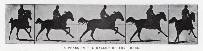 Eadweard Muybridge: घोड़े की सरपट में एक चरण (b/w फोटो) द्वारा एडवियर्ड मुयब्रिज