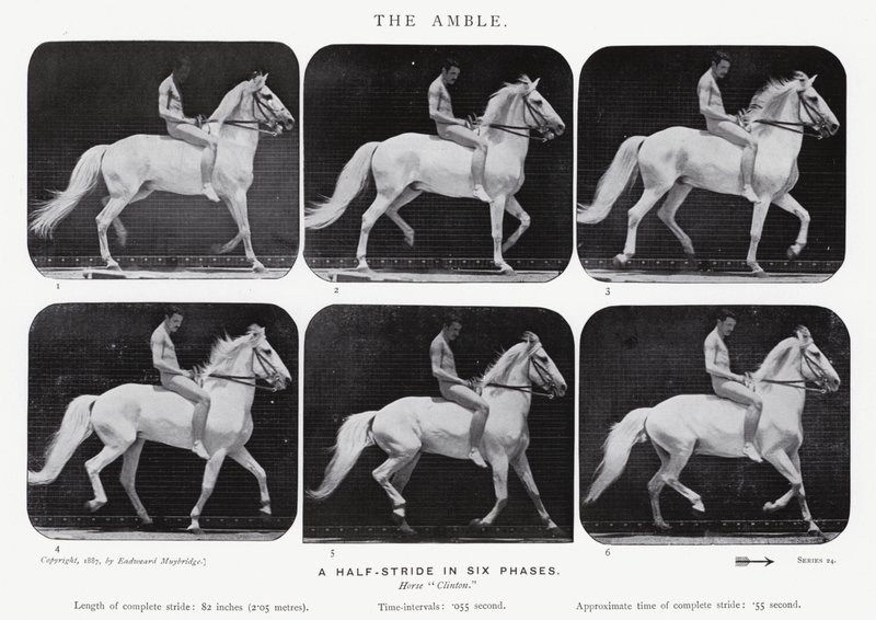 एडरवियर Muybridge: द एम्बल द्वारा एडवियर्ड मुयब्रिज