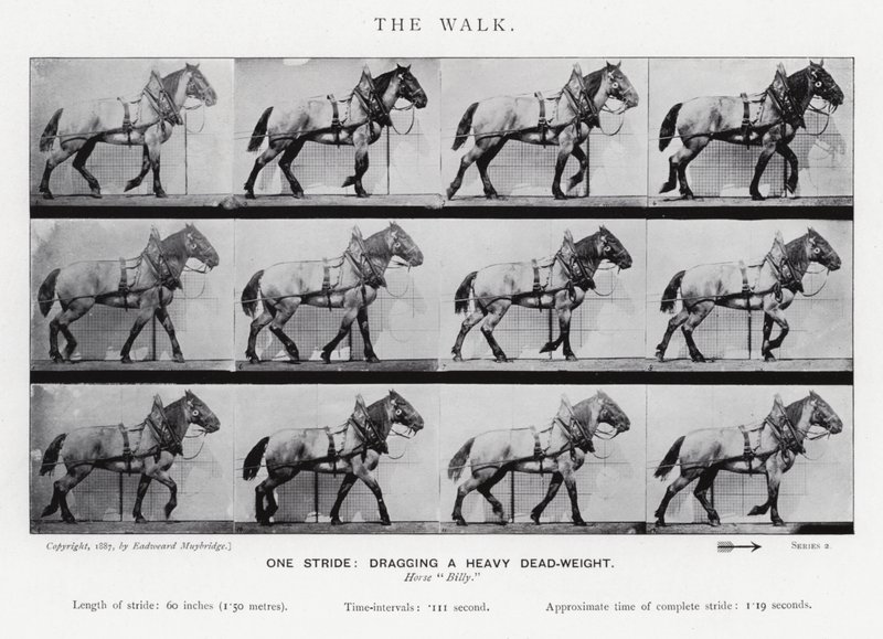 एडरवियर Muybridge: द वॉक द्वारा एडवियर्ड मुयब्रिज
