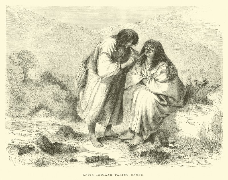 एंटीस इंडियंस सूंघ लेते हुए द्वारा एडौर्ड रिउ