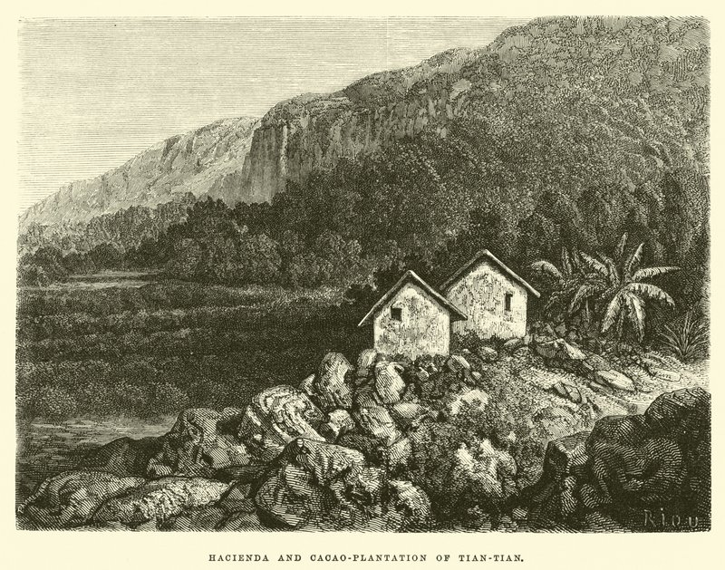 Hacienda और तियान-तियान के काकाओ-रोपण द्वारा एडौर्ड रिउ