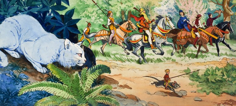  द्वारा एडुआर्डो टेक्सेरा कोएल्हो