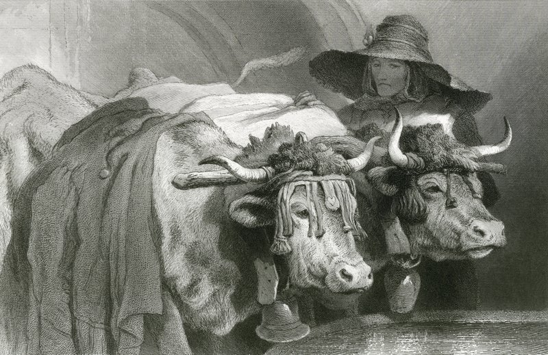 टैंक पर बैल, जिनेवा (उत्कीर्णन) द्वारा एडविन (बाद) लैंडसीर