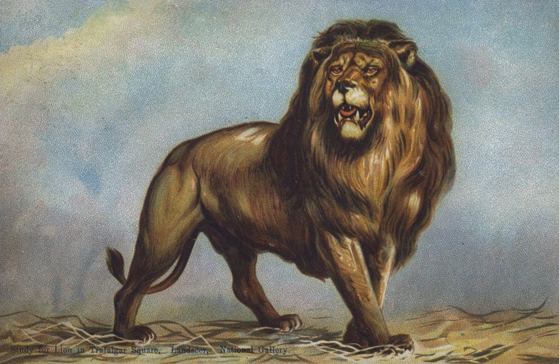 लैंडसीर, नेशनल गैलरी, लंदन द्वारा ट्राफलगर स्क्वायर में शेर के लिए अध्ययन (कलर लिथो) द्वारा एडविन (बाद) लैंडसीर
