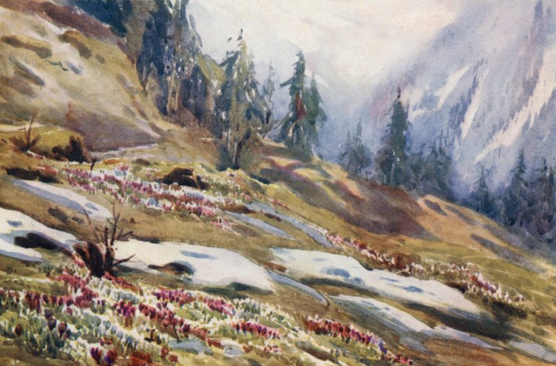  द्वारा एफी जार्डिन
