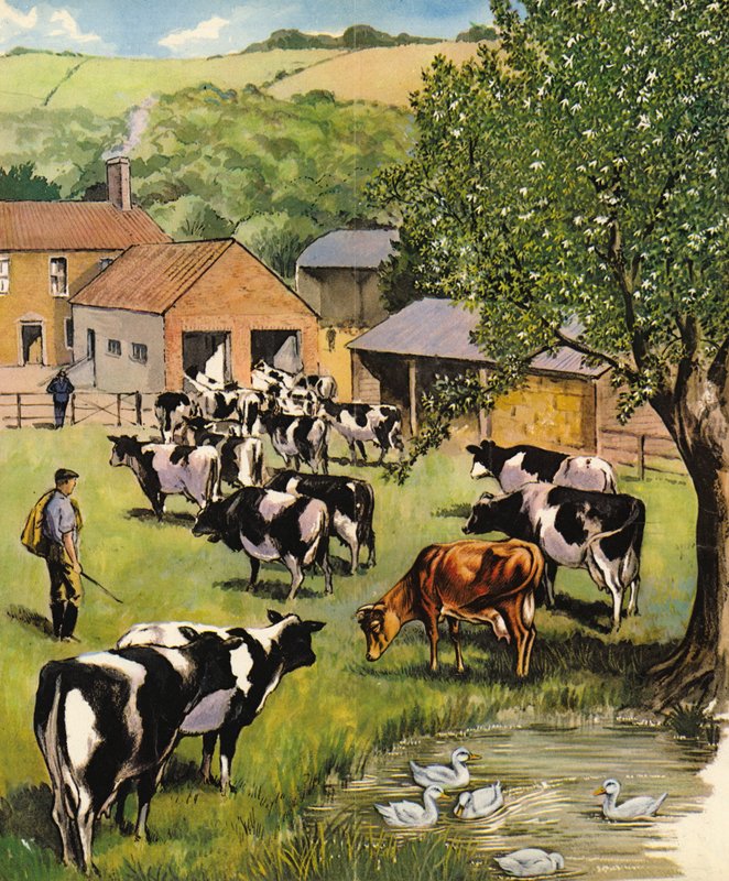 डेयरी फार्म, इंग्लैंड, 1960 द्वारा अंग्रेजी स्कूल