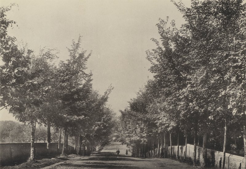 Aldeburgh, Westfields Avenue (b/w फोटो) द्वारा अंग्रेजी फोटोग्राफर
