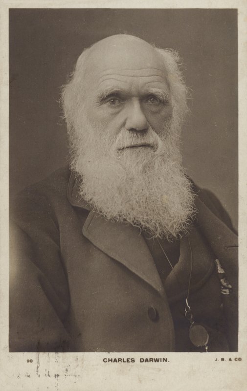 चार्ल्स डार्विन (1809-1882), अंग्रेजी प्रकृतिवादी द्वारा अंग्रेजी फोटोग्राफर