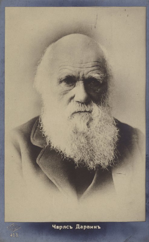 चार्ल्स डार्विन (1809-1882), अंग्रेजी प्रकृतिवादी द्वारा अंग्रेजी फोटोग्राफर