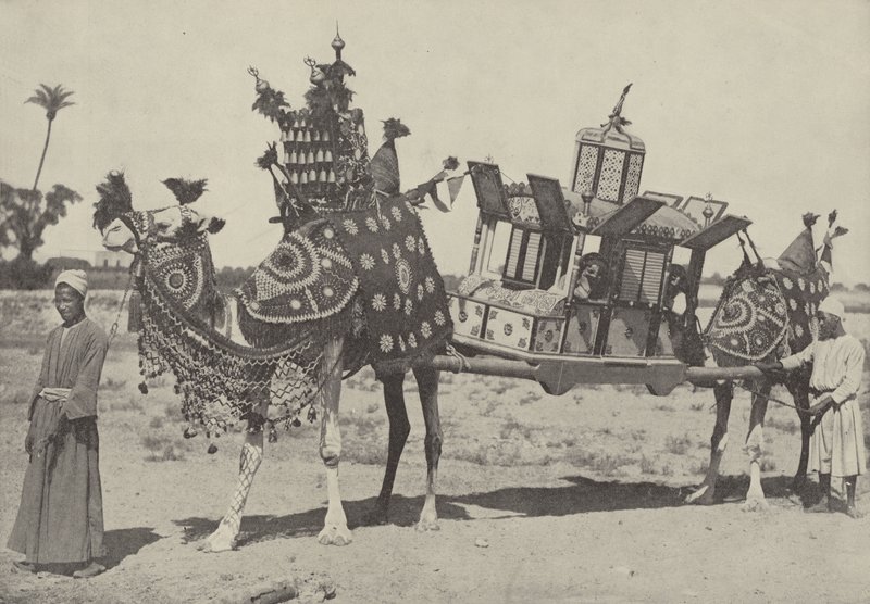 काहिरा में विवाह समारोह द्वारा अंग्रेजी फोटोग्राफर