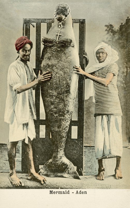  द्वारा अंग्रेजी फोटोग्राफर