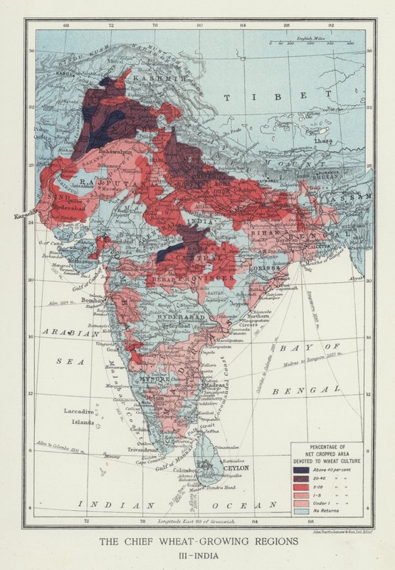 मुख्य गेहूं उगाने वाले क्षेत्र, भारत (फोटो) द्वारा अंग्रेजी फोटोग्राफर