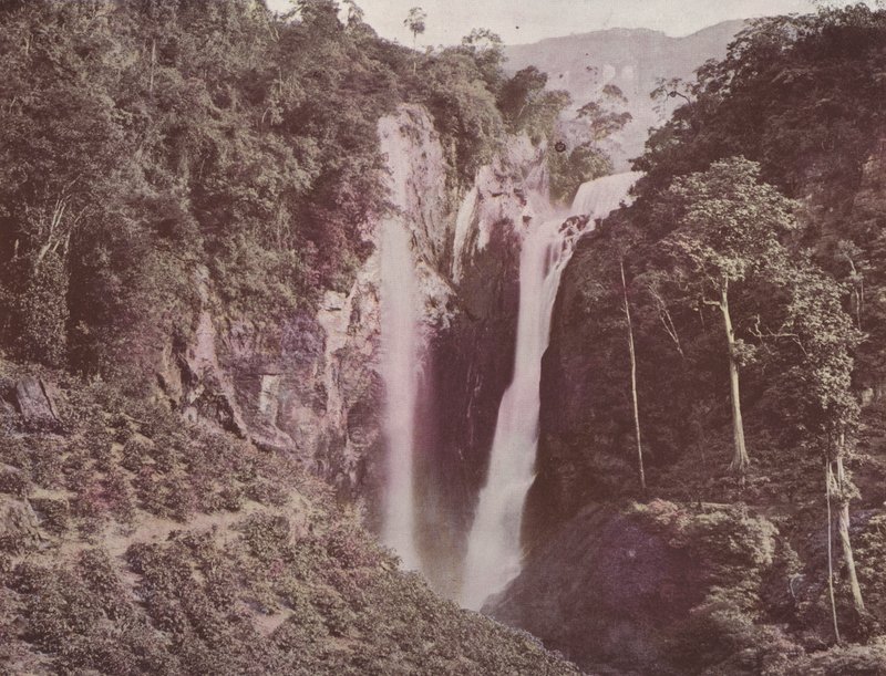 ट्विन फॉल्स (कॉफ़ी ग्रोइंग इन फोरग्राउंड), सीलोन (रंगीन फोटो) द्वारा अंग्रेजी फोटोग्राफर