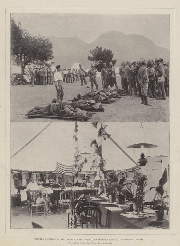 Wynberg अस्पताल, लॉर्ड रॉबर्ट्स कॉलम, फील्ड लाइब्रेरी से घायल का आगमन द्वारा अंग्रेजी फोटोग्राफर