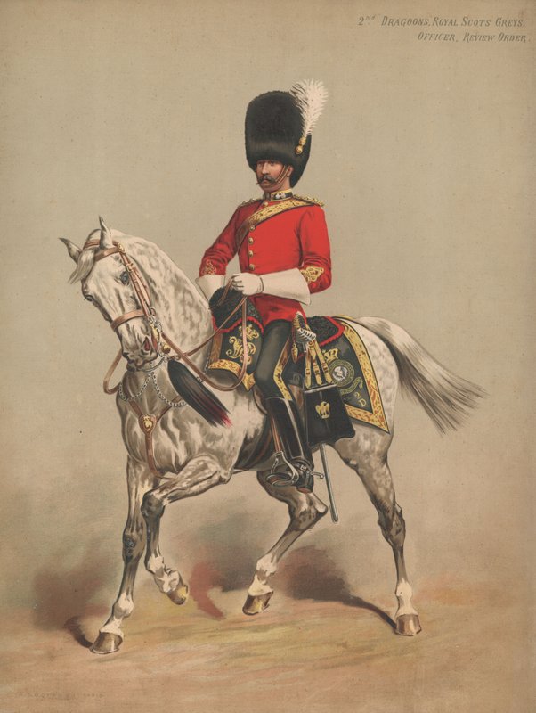2 Dragoons, Royal Scots Grays, Officer, Review Order द्वारा अंग्रेजी स्कूल