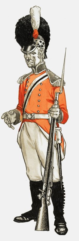 92 वें। माननीय। आर्टिलरी कं इन्फैंट्री डिव। निजी 1803 द्वारा अंग्रेजी स्कूल