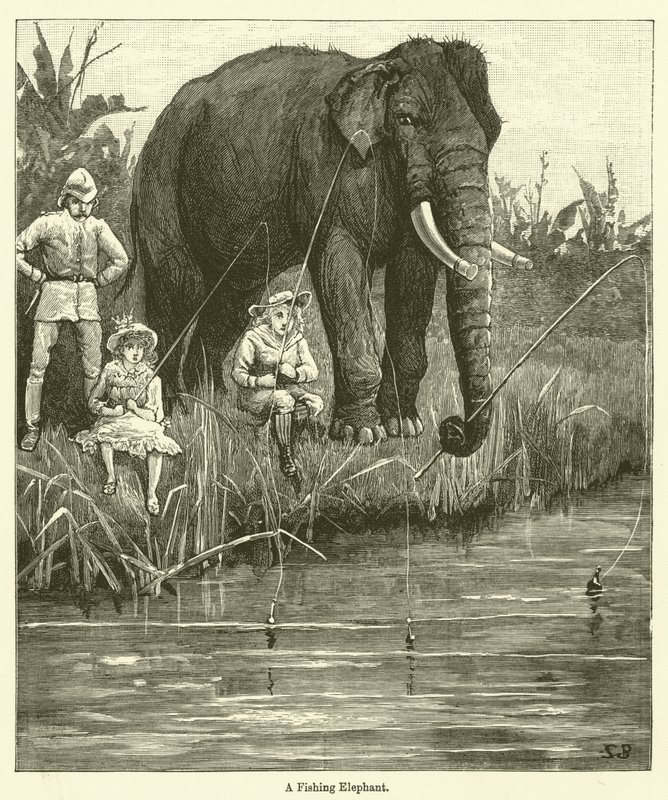 एक मछली पकड़ने वाला हाथी (उत्कीर्णन) द्वारा अंग्रेजी स्कूल