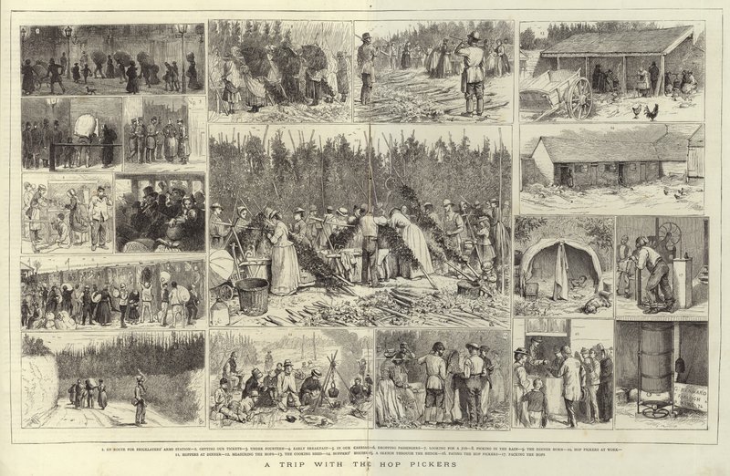 हॉप पिकर्स के साथ एक ट्रिप द्वारा अंग्रेजी स्कूल