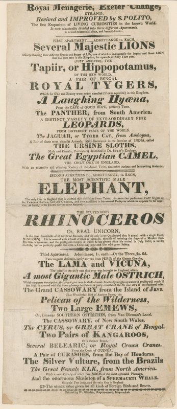 Royal Menagerie, Exeter Change के लिए विज्ञापन द्वारा अंग्रेजी स्कूल