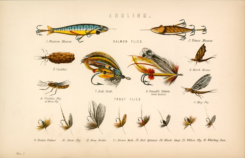 angling द्वारा अंग्रेजी स्कूल
