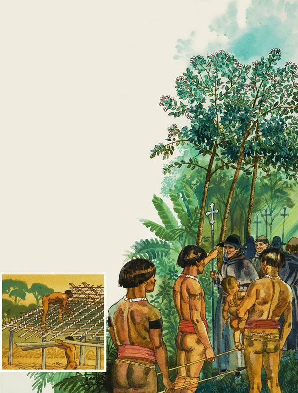 सिनकोना पेड़ द्वारा अंग्रेजी स्कूल
