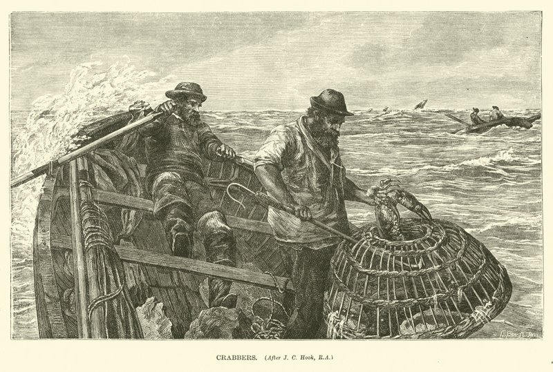 Crabbers द्वारा अंग्रेजी स्कूल