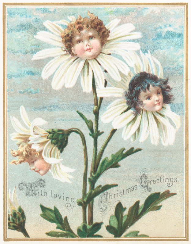 चेहरे के साथ Daisies! क्रिसमस कार्ड द्वारा अंग्रेजी स्कूल
