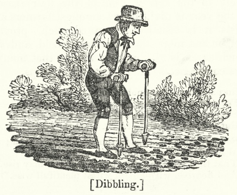 Dibbling द्वारा अंग्रेजी स्कूल
