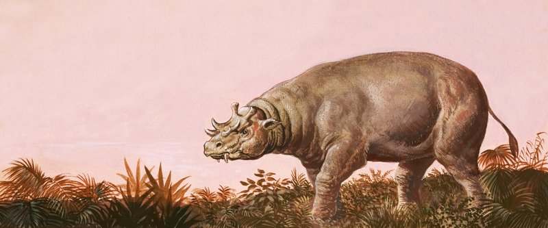 डायनासोर द्वारा अंग्रेजी स्कूल