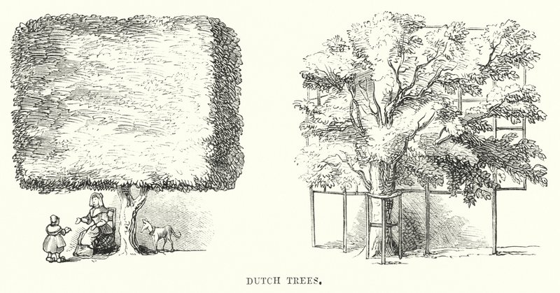 डच पेड़ (उत्कीर्णन) द्वारा अंग्रेजी स्कूल