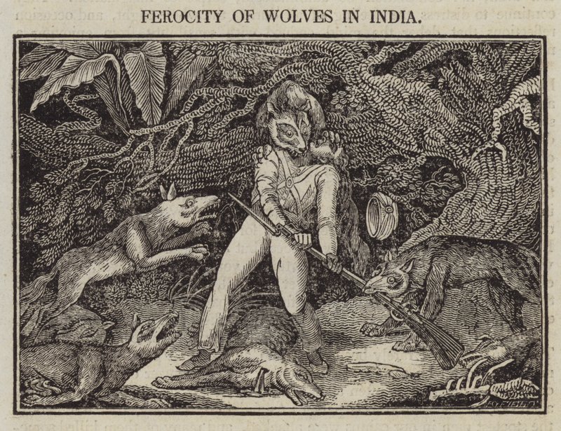 भारत में भेड़ियों की क्रूरता (उत्कीर्णन) द्वारा अंग्रेजी स्कूल
