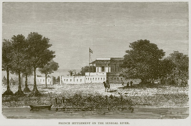 सेनेगल नदी पर फ्रेंच निपटान, इलस्ट्रेटेड ट्रेवल्स से चित्रण, c.1880 द्वारा अंग्रेजी स्कूल